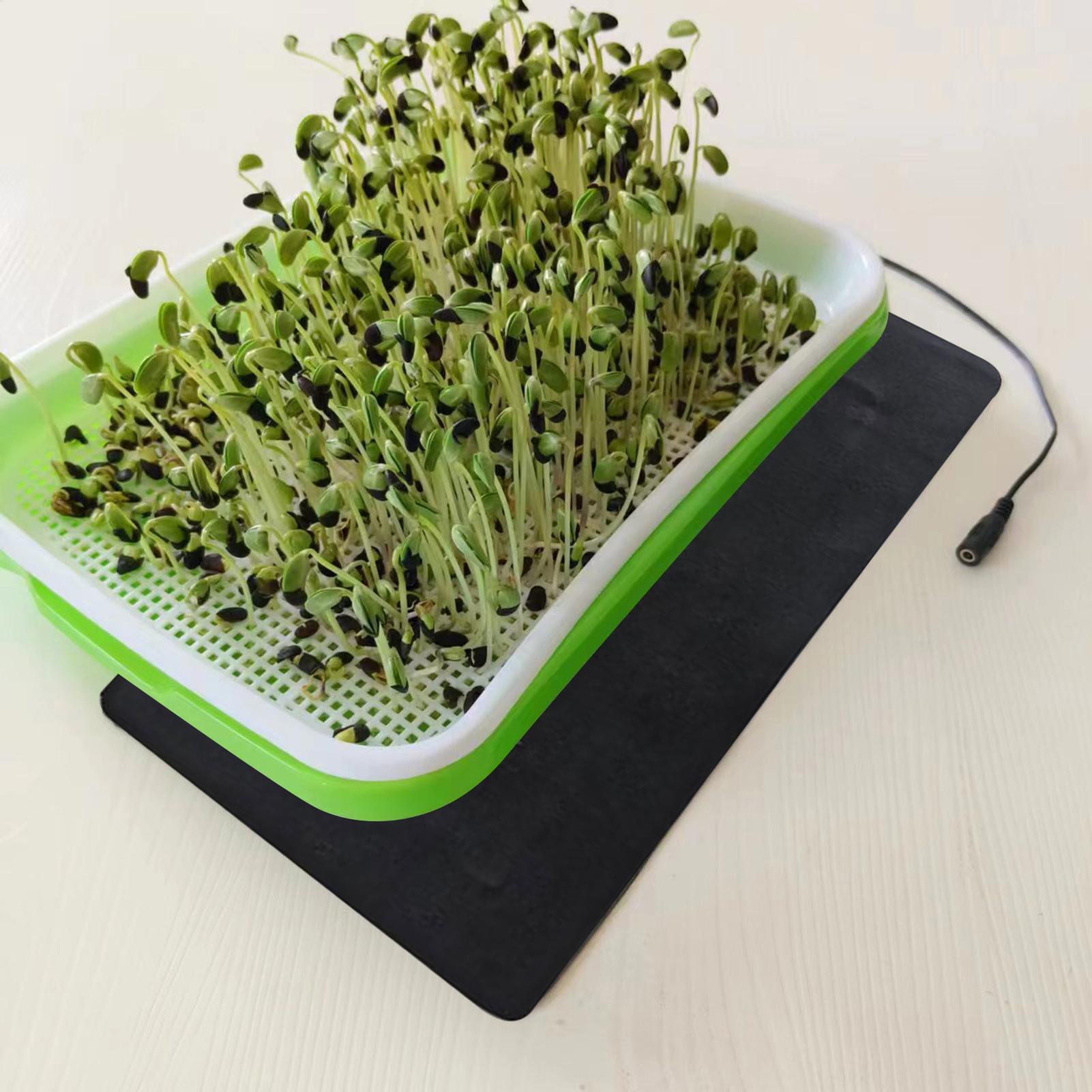 Alas Pemanas Bibit USB 8.5W, 3 - Tissue Culture Plant ulasan dan harga