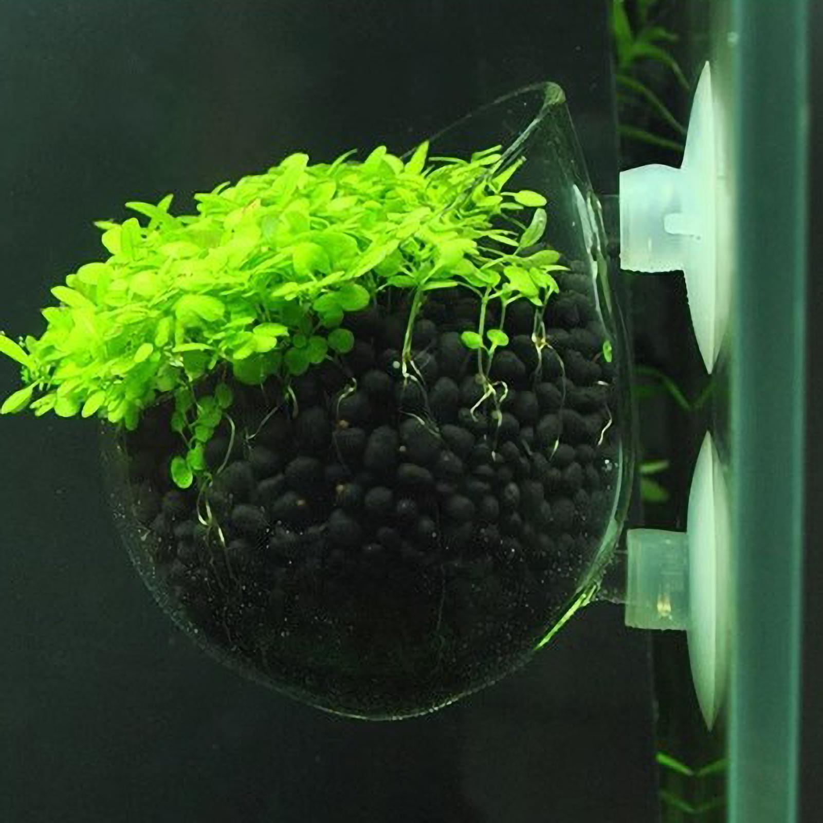 Pot Tanaman Kaca Akuarium deng - Aquarium Planted Tank Substrate ulasan dan harga