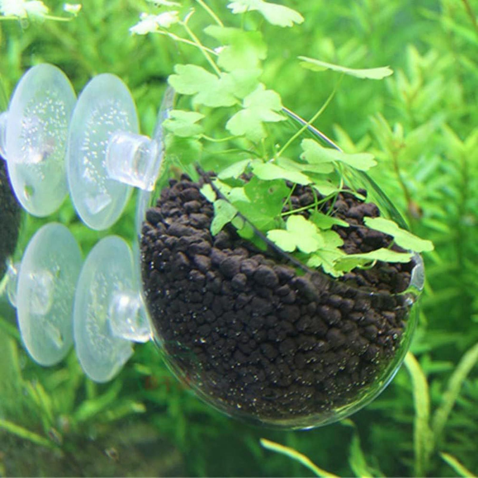 Pot Tanaman Kaca Akuarium deng - Aquarium Planted Tank Substrate ulasan dan harga