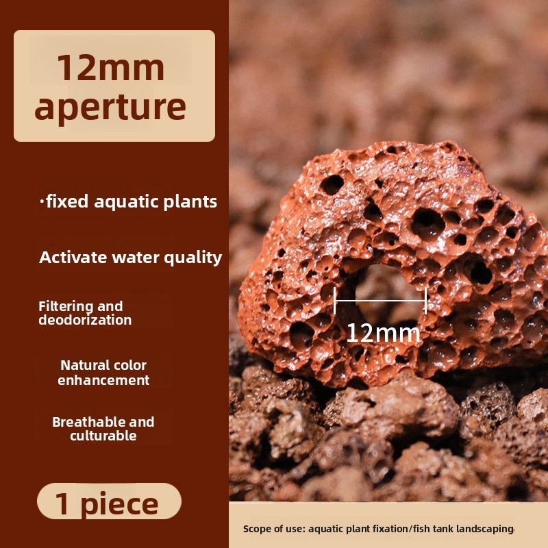 Cincin Tanam Batu Lava Merah – - Planted Aquarium Carpet Plant ulasan dan harga