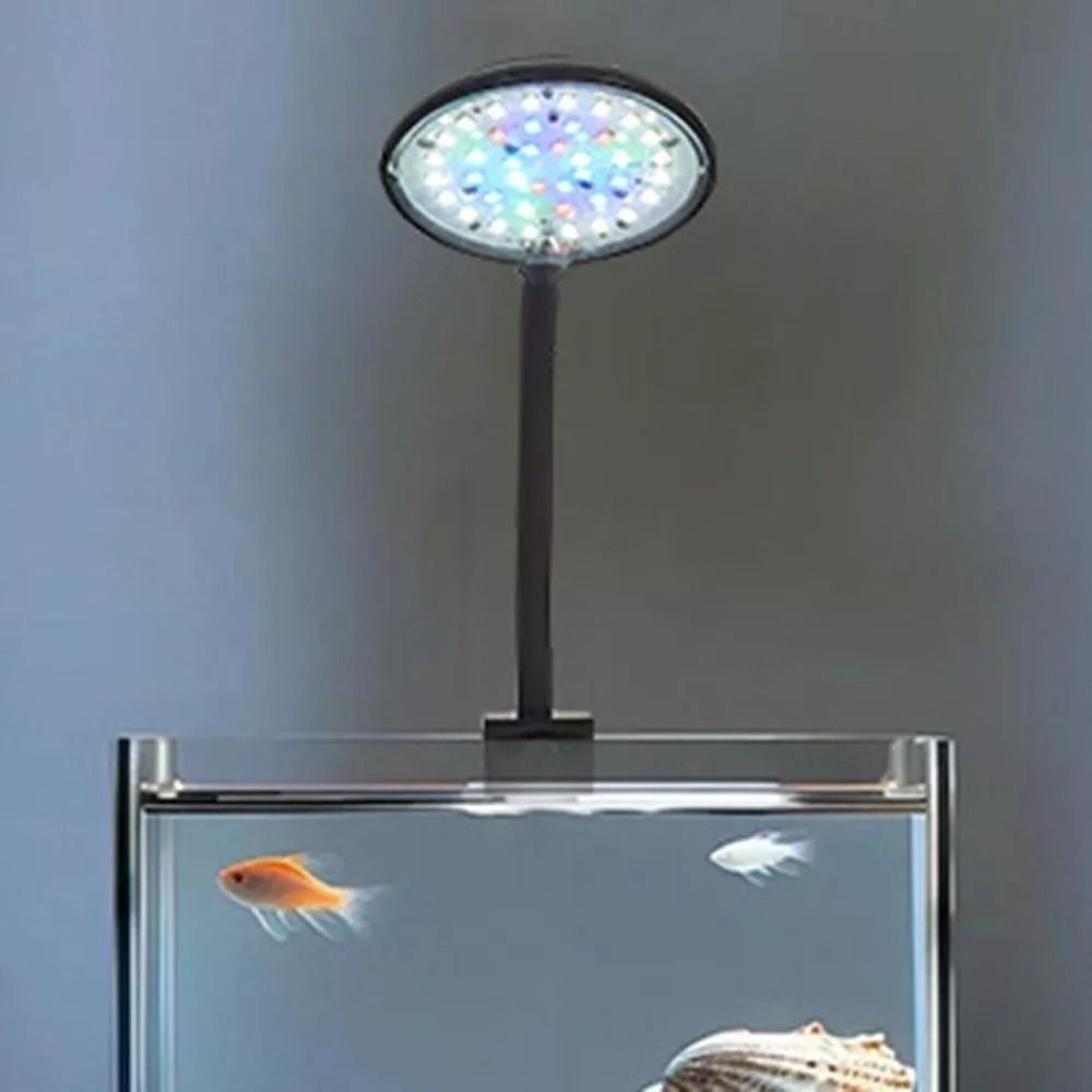 Lampu Klip Tangki Ikan Mini Ba - Planted Aquarium Mini ulasan dan harga