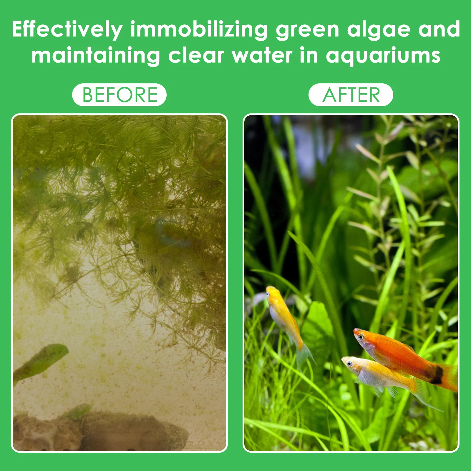 50 buah berat tanaman akuarium - Aquarium Planted Tank Substrate ulasan dan harga