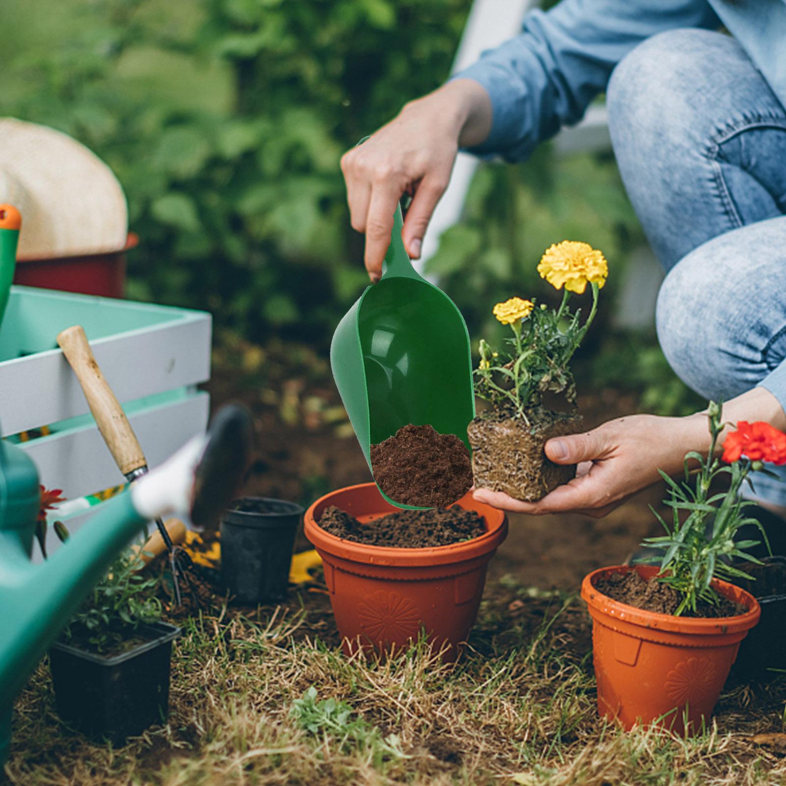 Sekop Berkebun, Sekop Tanah Ka - Tissue Culture Plant ulasan dan harga