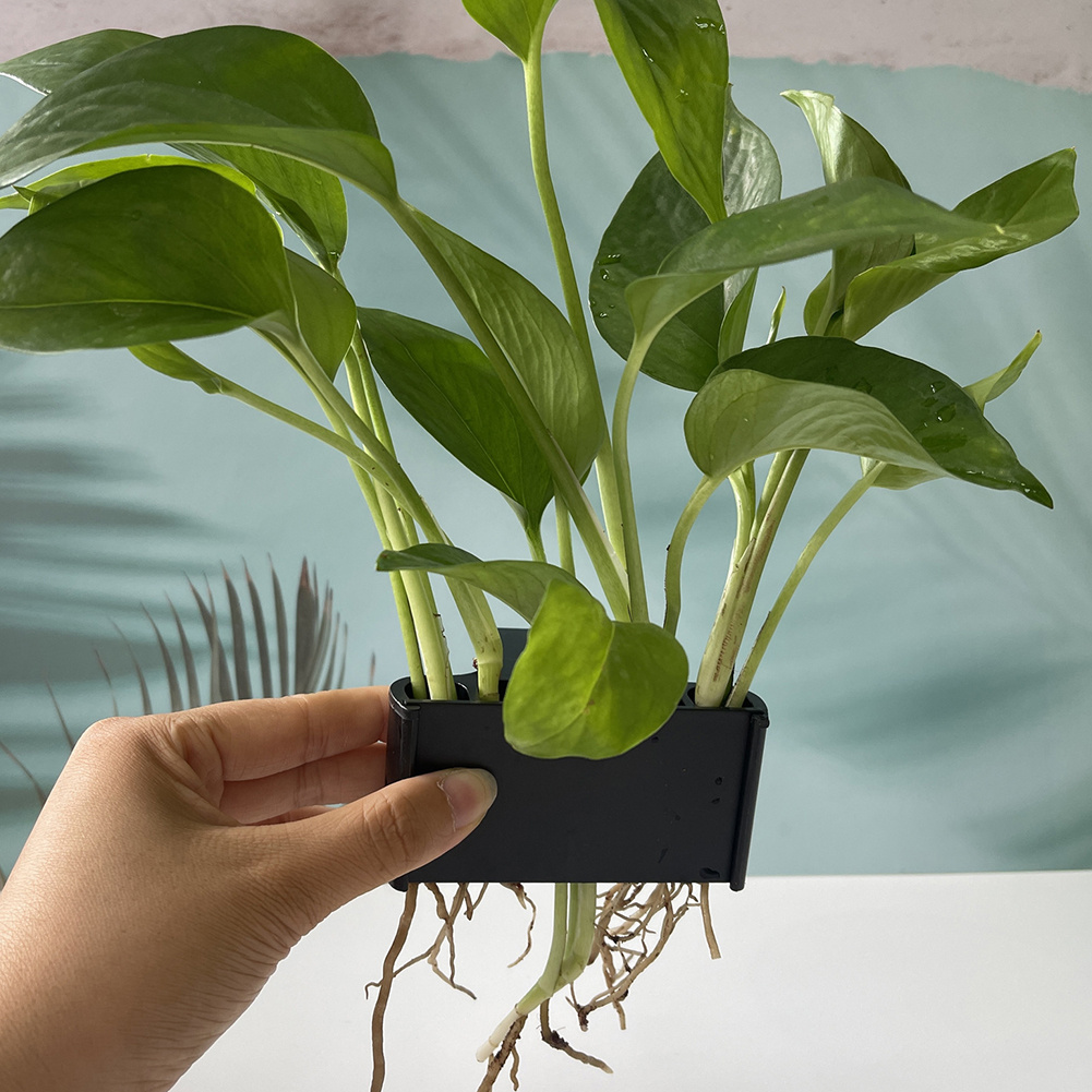 Tempat Tanaman Akuarium dengan - Aquarium Planted Tank Substrate ulasan dan harga