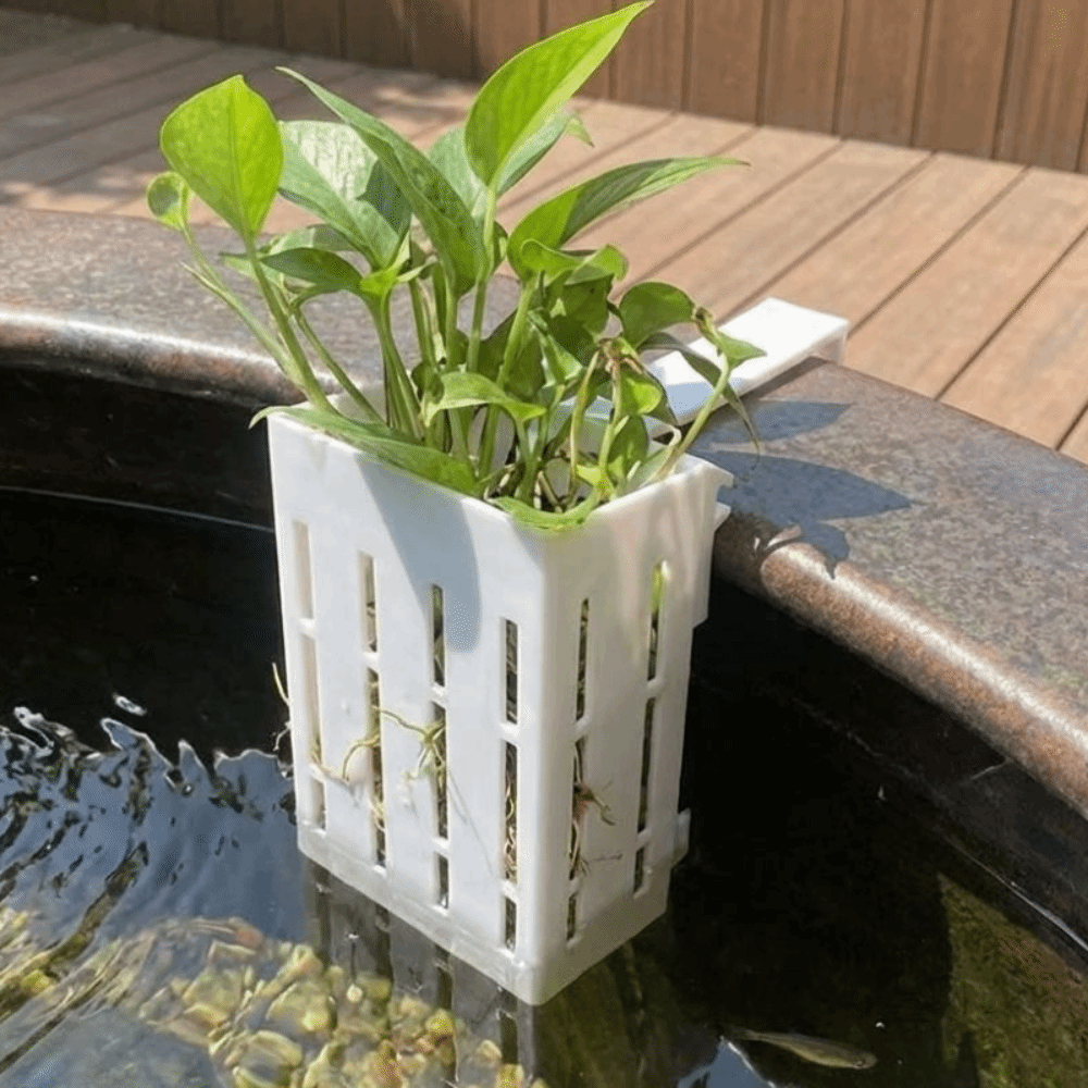 Keranjang Tanaman Akuarium Gan - Aquarium Planted Wall ulasan dan harga
