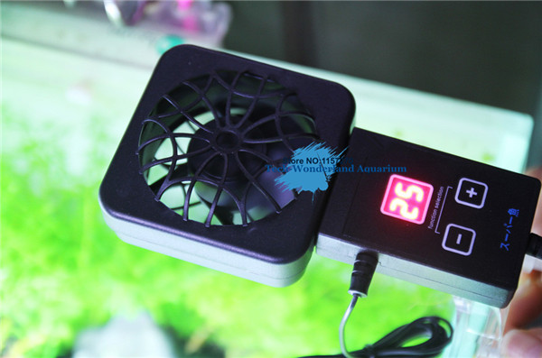 Mini nano klip menggantung pad - Planted Aquarium Mini ulasan dan harga