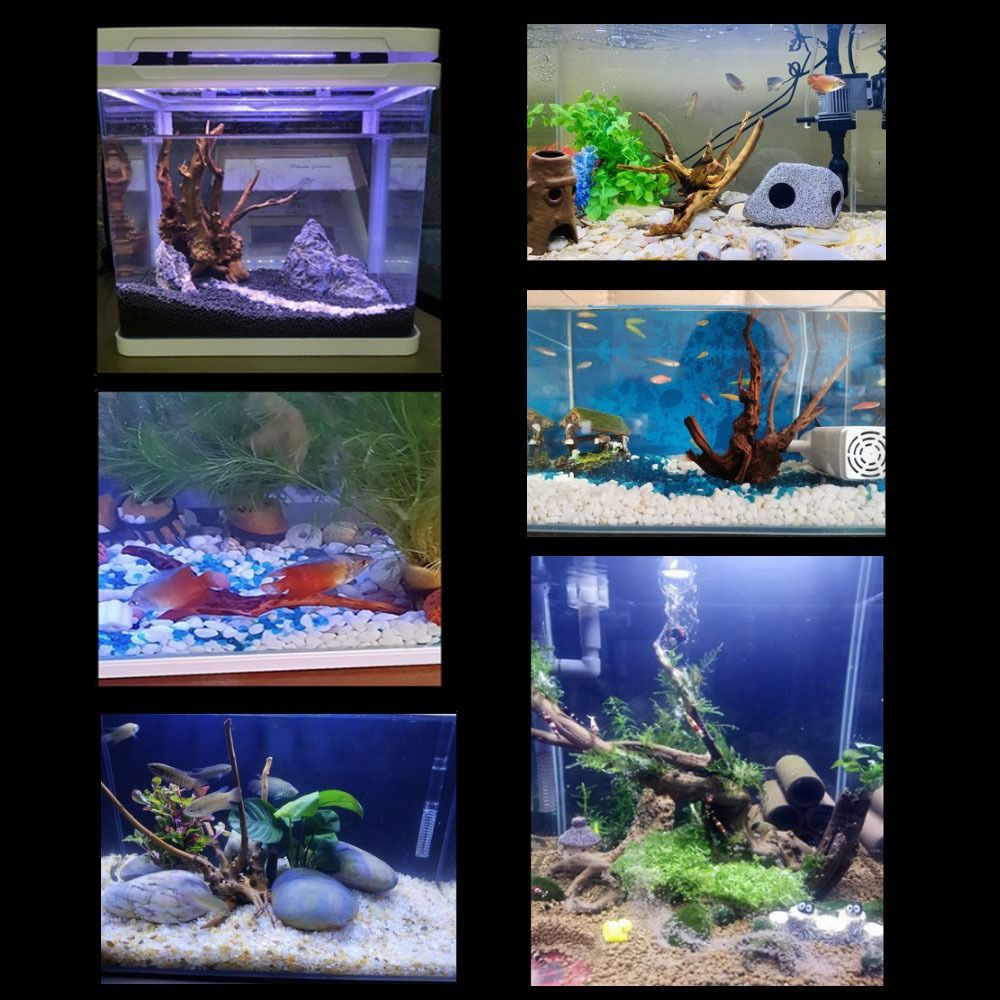 Kayu Apung Akuarium Besar 20-2 - Aquarium Planted Tree ulasan dan harga