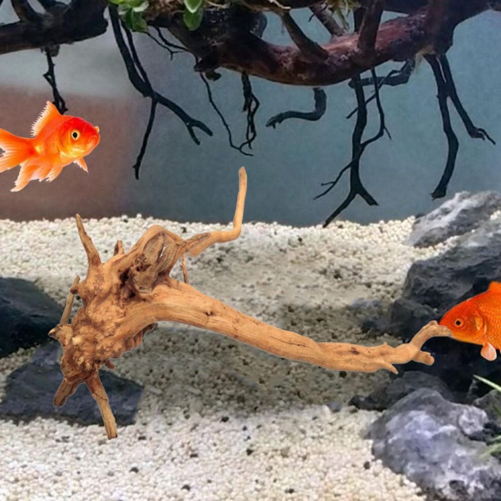 Kayu Apung Akuarium Besar 20-2 - Aquarium Planted Tree ulasan dan harga