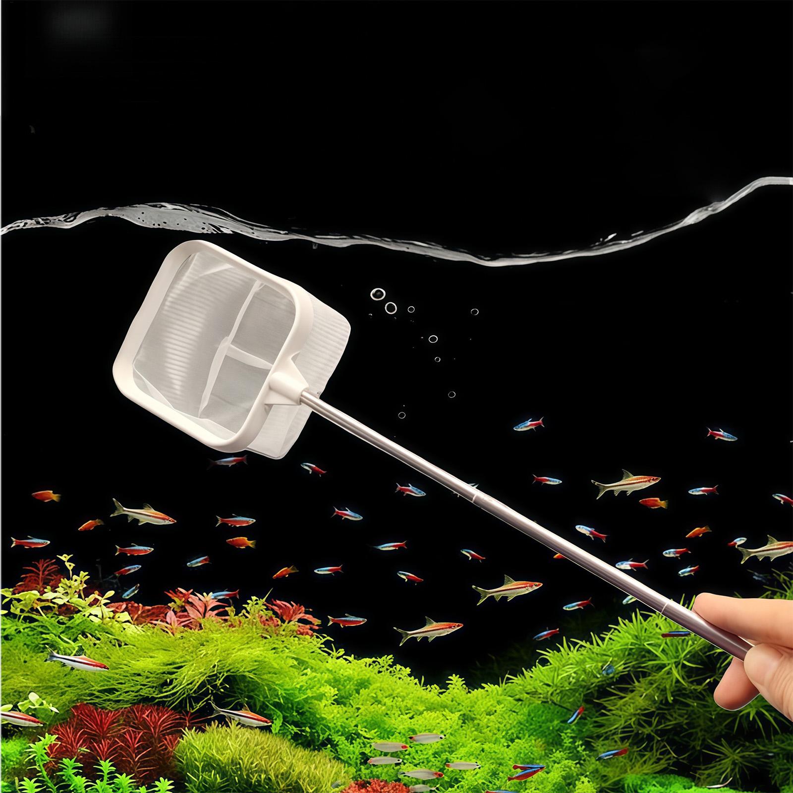 Alat Penyaring Ikan Akuarium J - Aquarium Planted Tree ulasan dan harga
