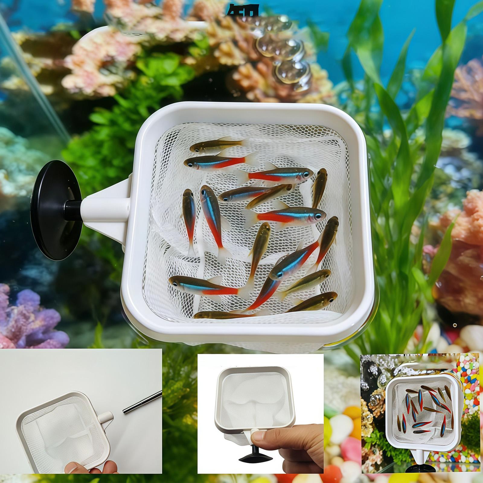 Alat Penyaring Ikan Akuarium J - Aquarium Planted Tree ulasan dan harga