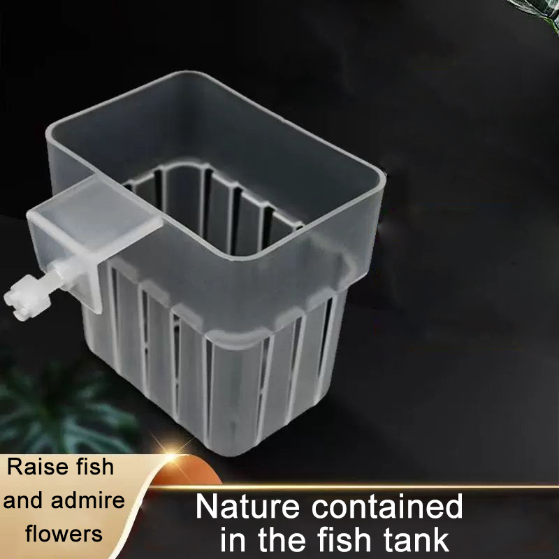 Keranjang Hidroponik Transpara - Aquarium Planted Wall ulasan dan harga