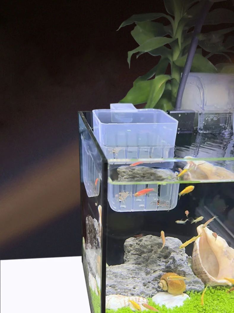 Keranjang Hidroponik Transpara - Aquarium Planted Wall ulasan dan harga
