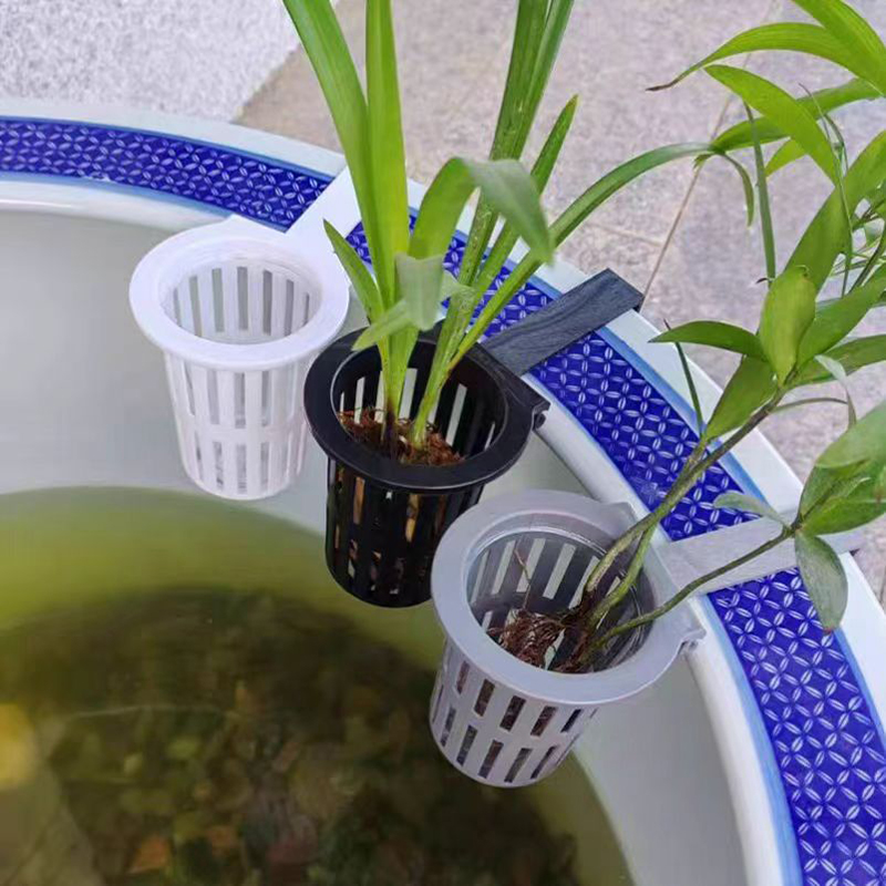 1/3 Buah Keranjang Tanaman Aku - Aquarium Planted Wall ulasan dan harga