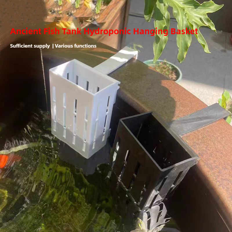 1/3 Buah Keranjang Tanaman Aku - Aquarium Planted Wall ulasan dan harga