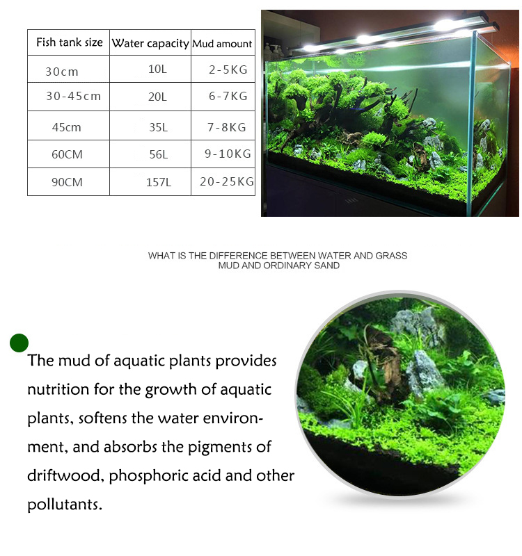 Bibit Tanaman Akuarium Tanah T - Tissue Culture Plant ulasan dan harga