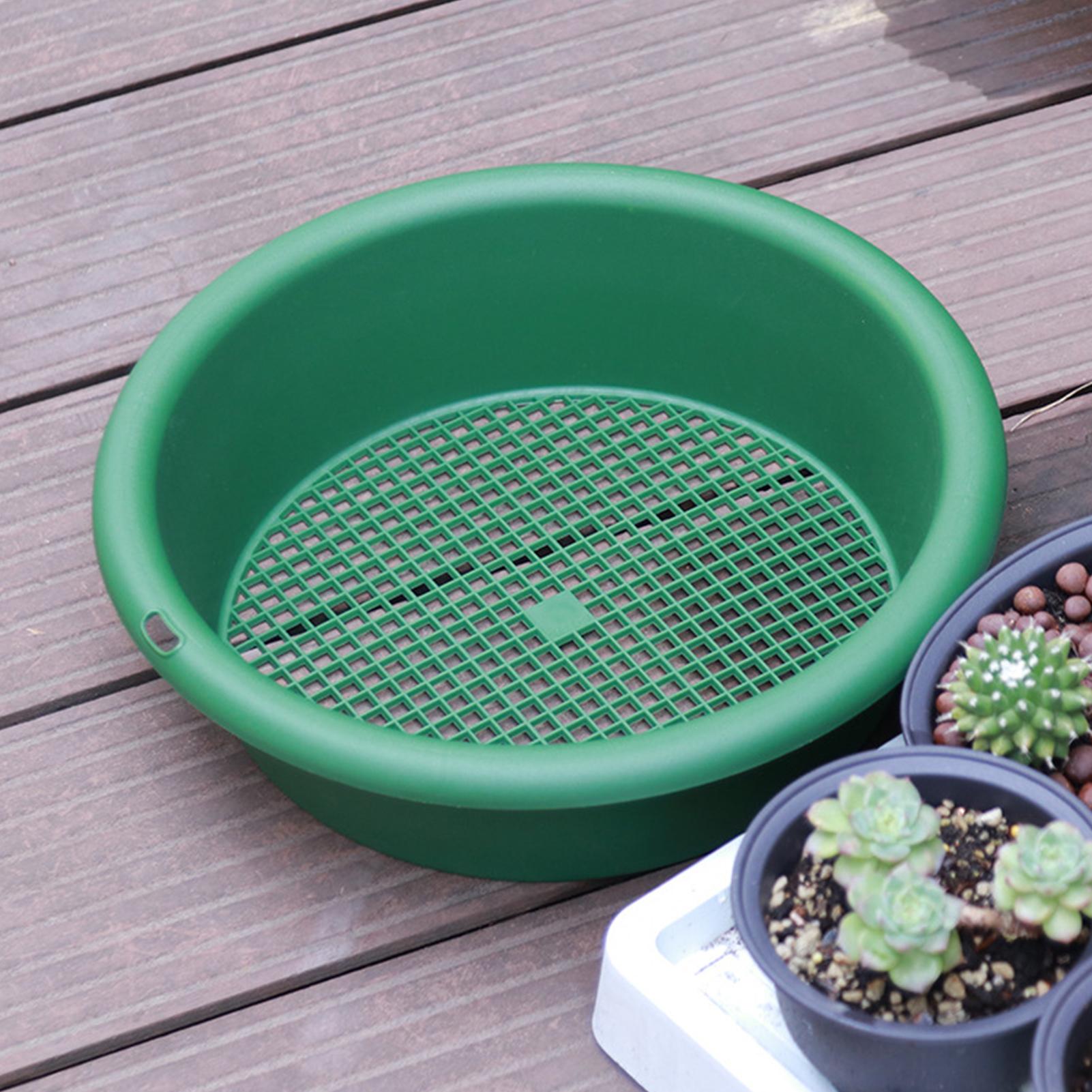 Saringan Batu Anti Karat, Sari - Tissue Culture Plant ulasan dan harga