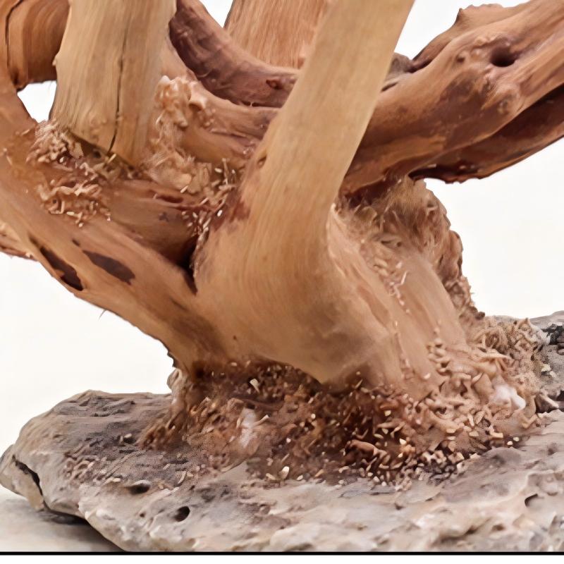 1 Buah Hiasan Kayu Lanskap Aku - Aquarium Planted Tree ulasan dan harga