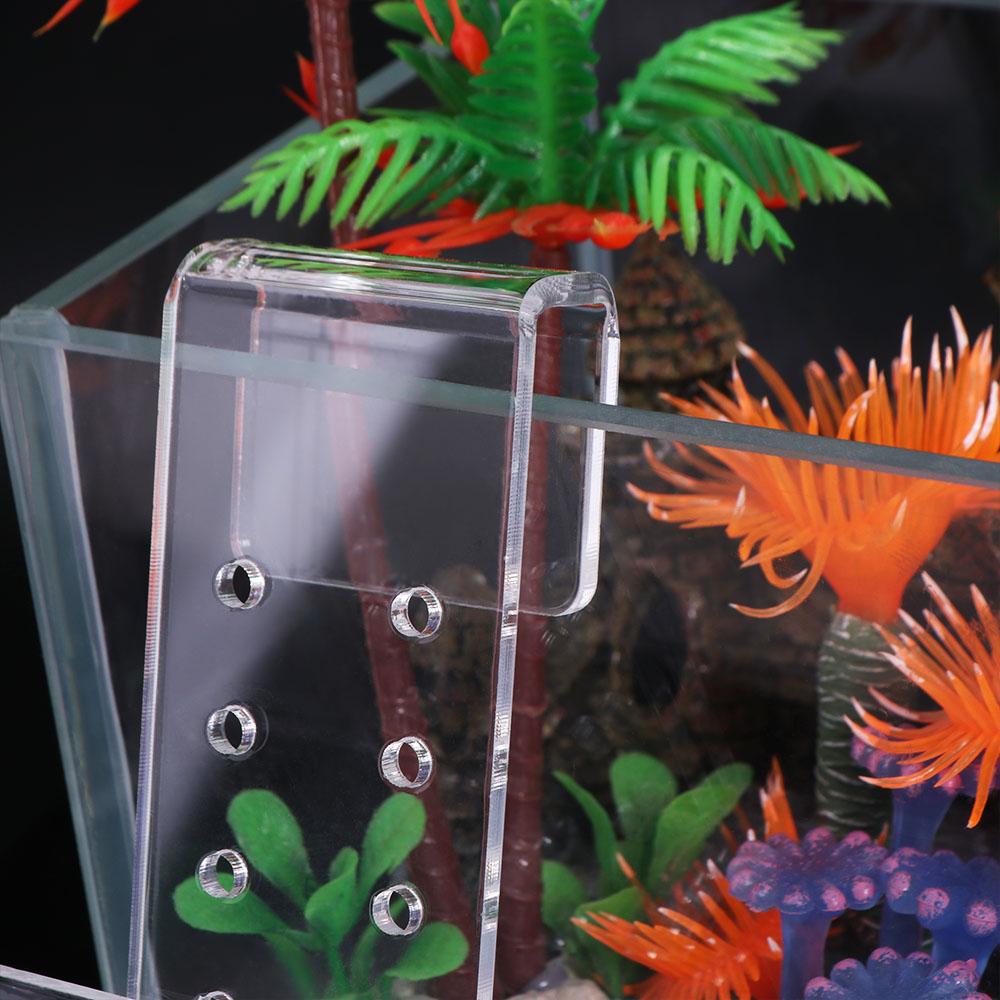 Cangkir Tanaman Akuarium Gantu - Aquarium Planted Wall ulasan dan harga