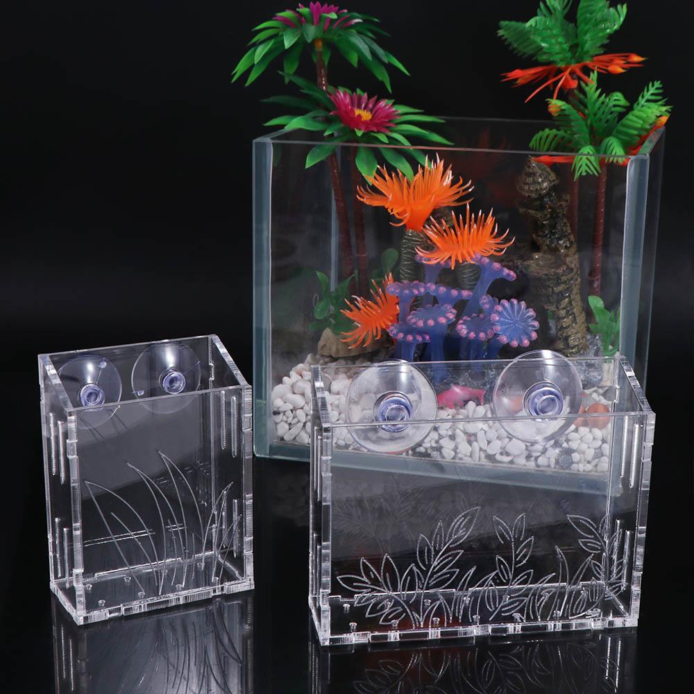 Cangkir Tanaman Akuarium Gantu - Aquarium Planted Wall ulasan dan harga