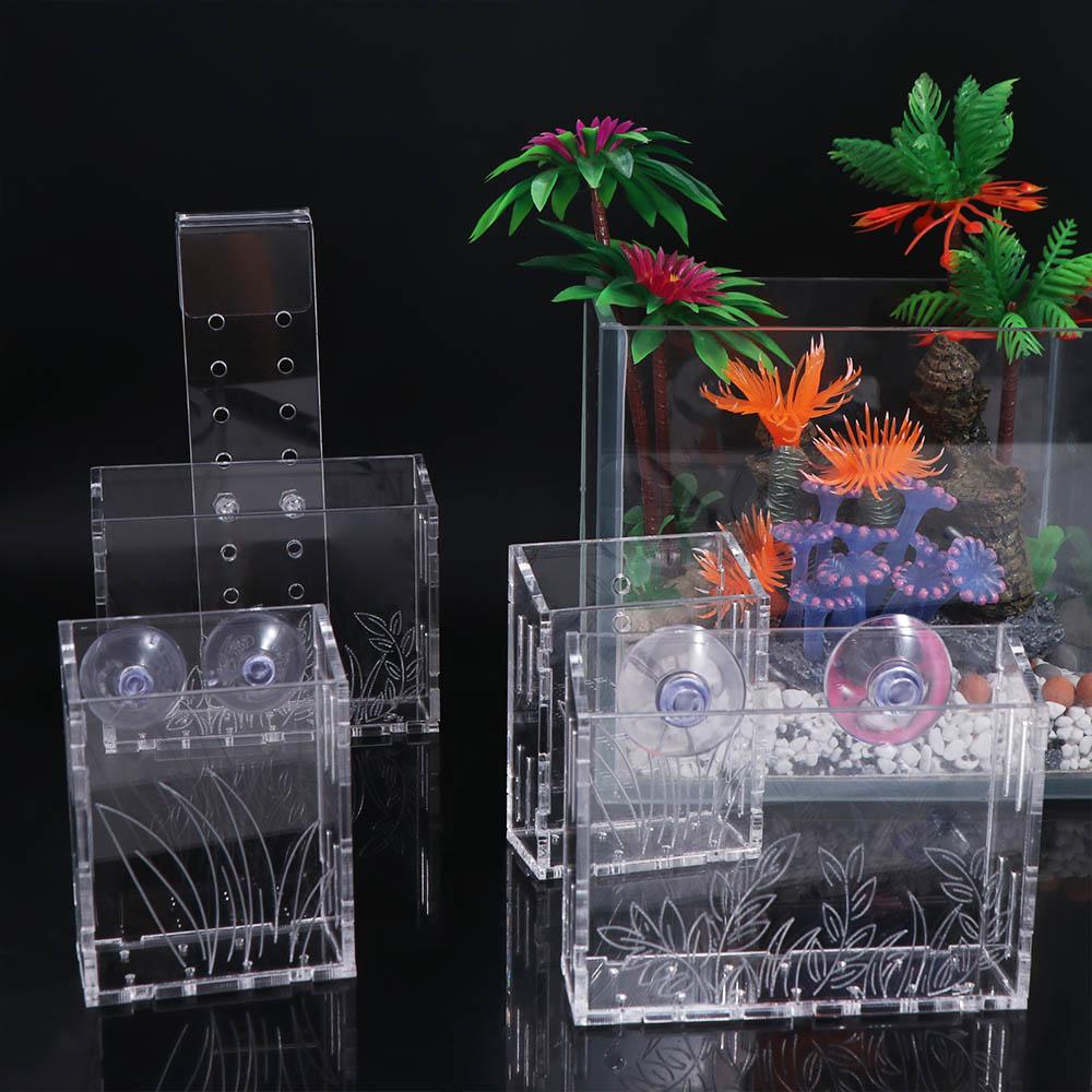 Cangkir Tanaman Akuarium Gantu - Aquarium Planted Wall ulasan dan harga