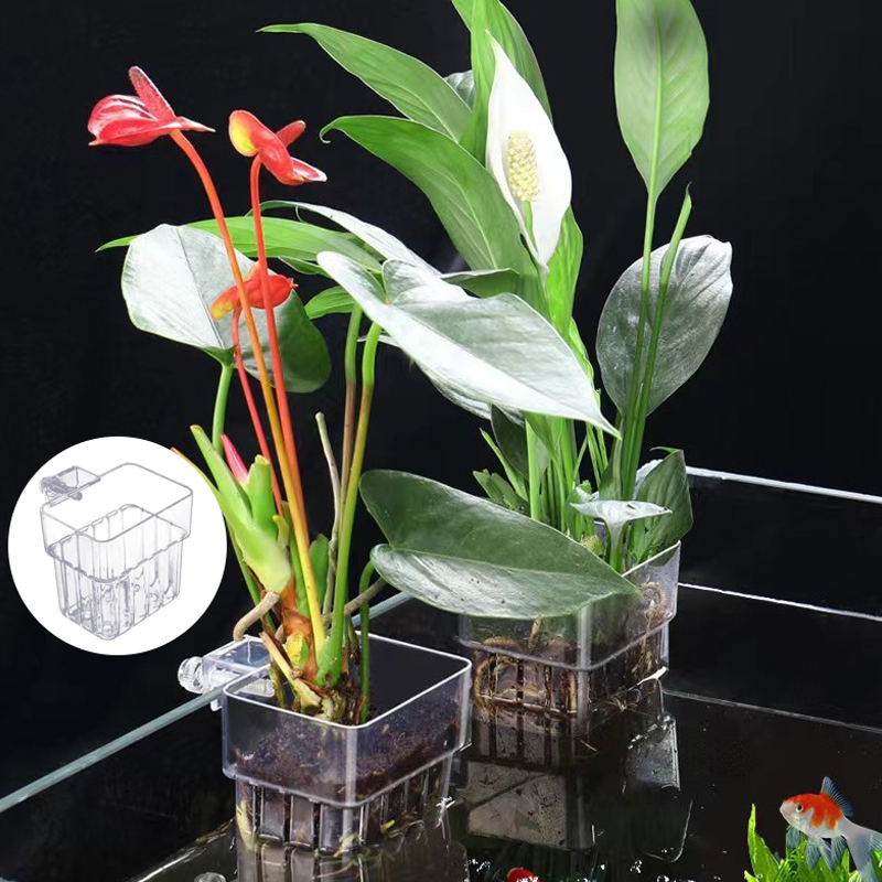 Akuarium ikan multifungsi cang - Aquarium Planted Fish Tank ulasan dan harga