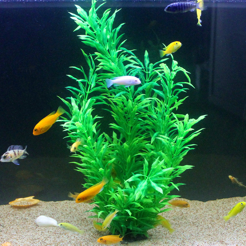 50CM Kolam Ikan Buatan Tanaman - Aquarium Planted Fish Tank ulasan dan harga