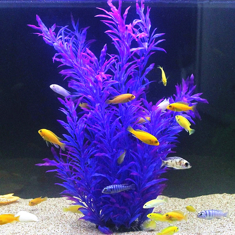 50CM Kolam Ikan Buatan Tanaman - Aquarium Planted Fish Tank ulasan dan harga
