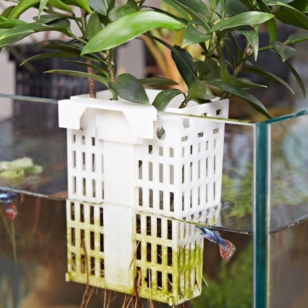 Penyangga Tanaman Air Gantung  - Aquarium Planted Wall ulasan dan harga
