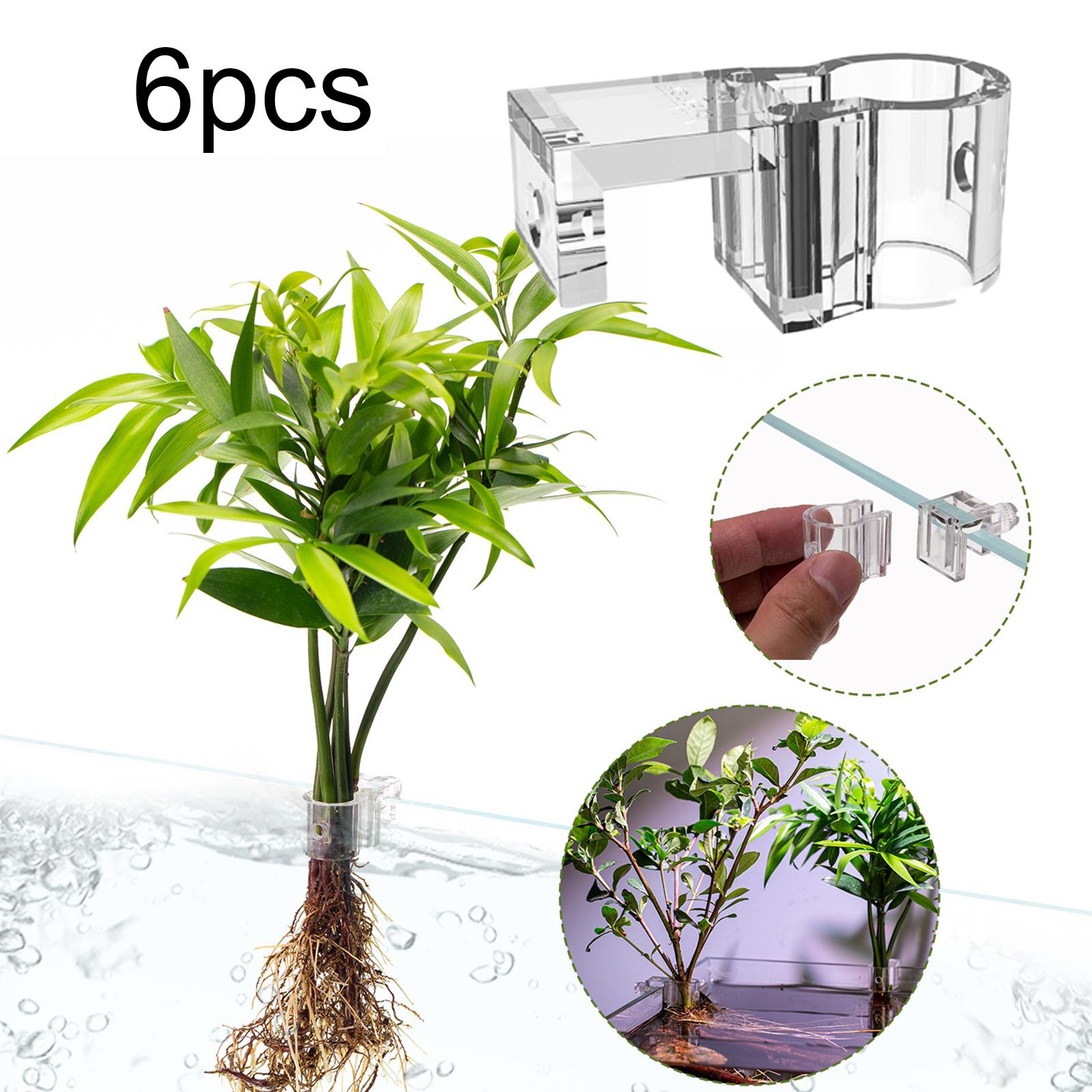 Tempat Tanaman Transparan Taha - Aquarium Planted Wall ulasan dan harga