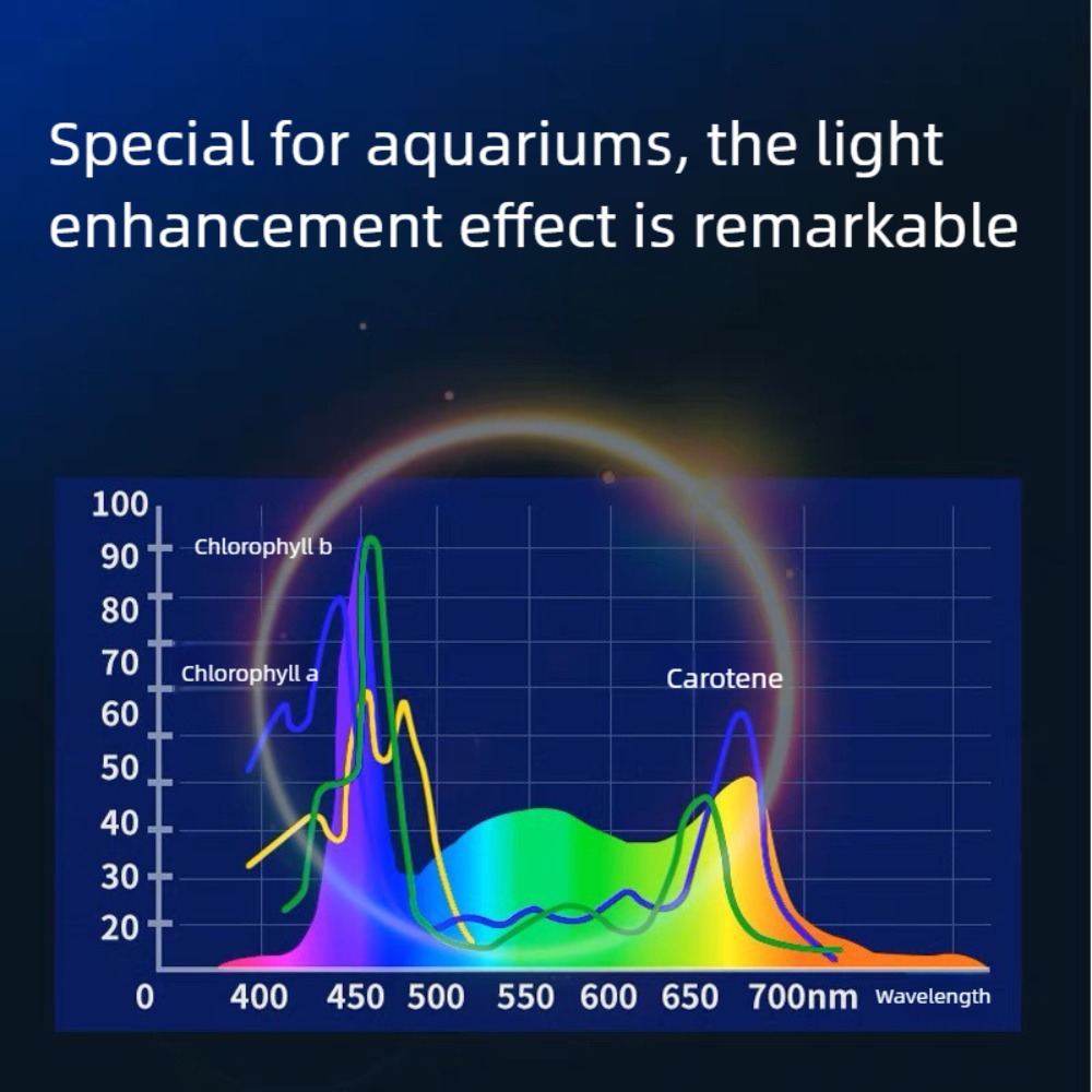 Lampu Akuarium Mini Clip On Da - Planted Aquarium Mini ulasan dan harga