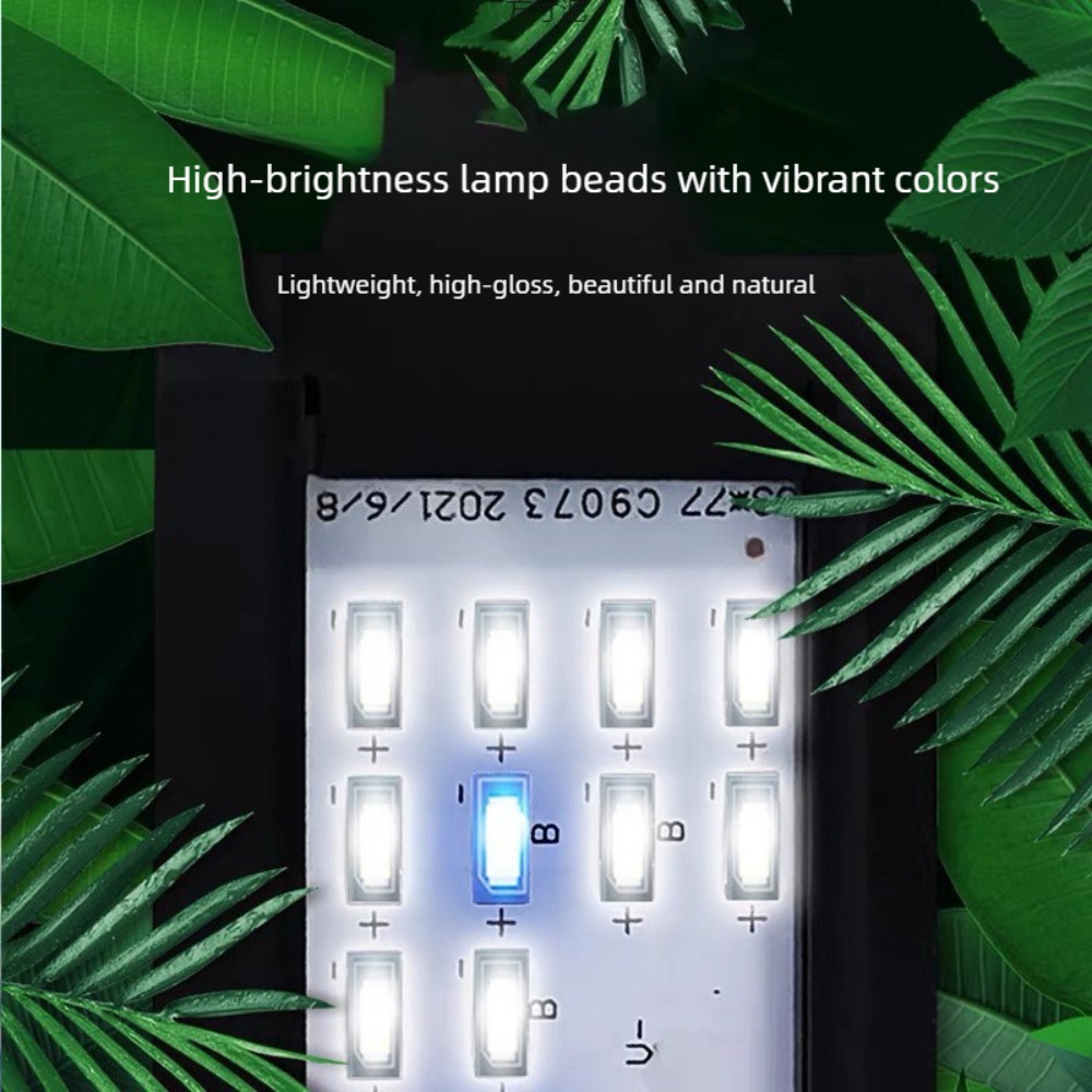 Lampu Akuarium Mini Clip On Da - Planted Aquarium Mini ulasan dan harga