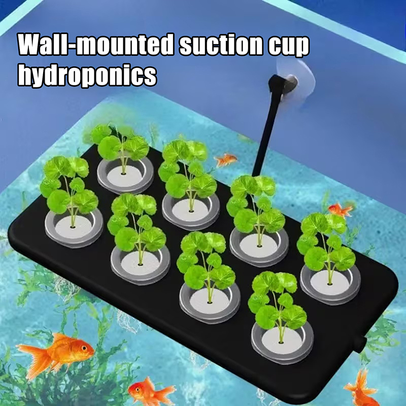 Kit Penanaman Hidroponik Menga - Aquarium Planted Wall ulasan dan harga