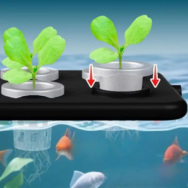 Kit Penanaman Hidroponik Menga - Aquarium Planted Wall ulasan dan harga