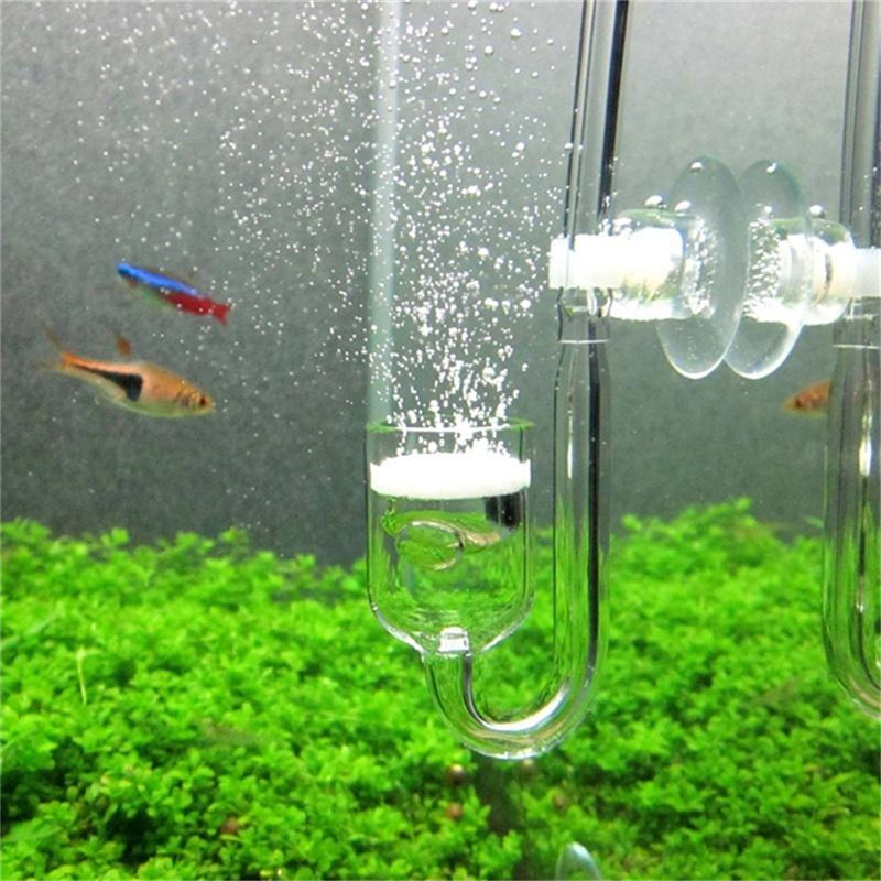 Mini Diffuser CO2 Akrilik Bent - Aquarium Planted Tank Substrate ulasan dan harga