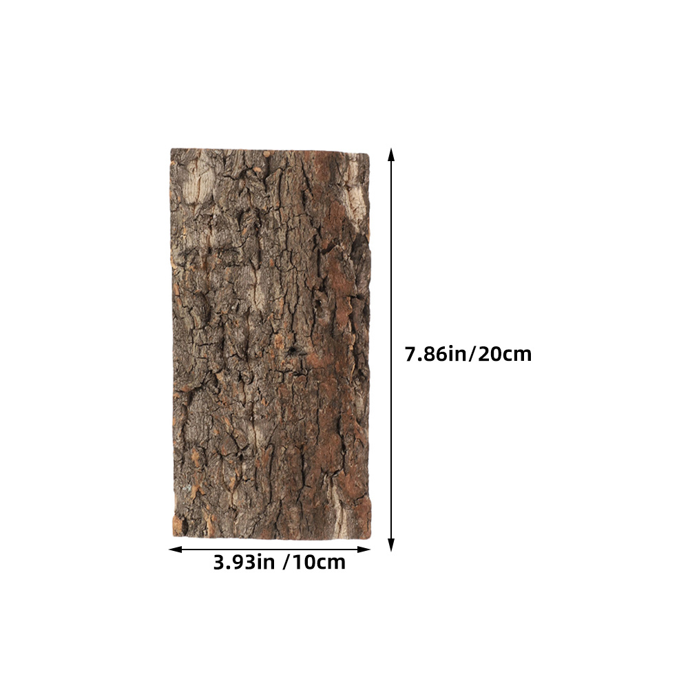 3 Buah Kulit Gabus untuk Latar - Aquarium Planted Tree ulasan dan harga