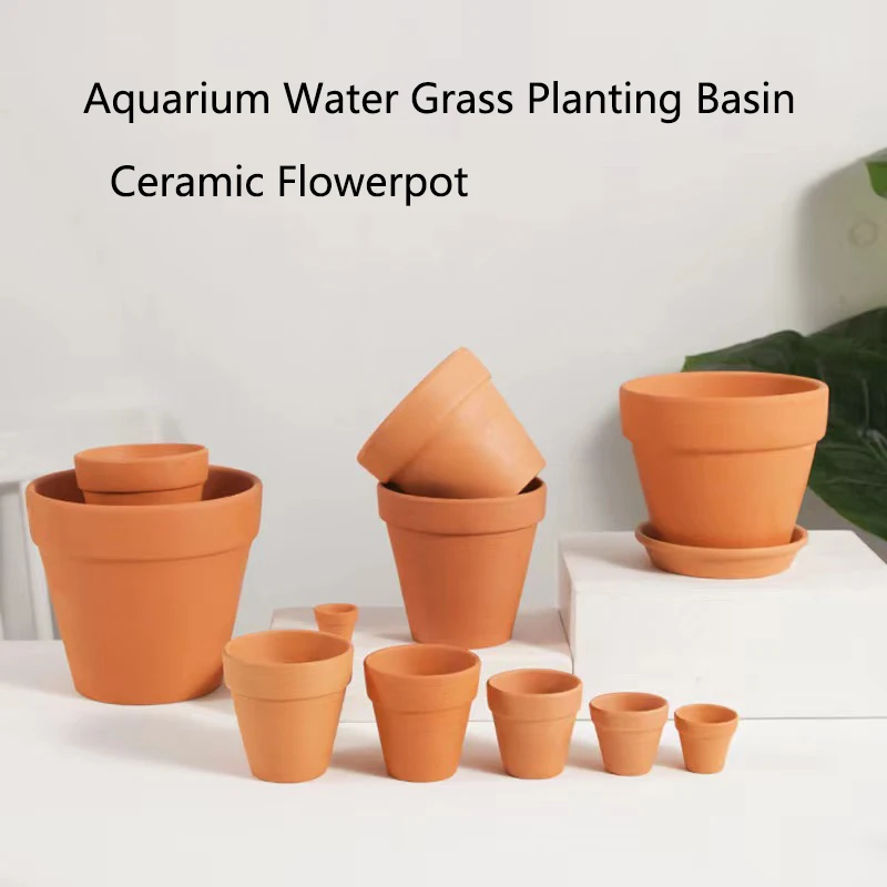Dekorasi akuarium lumpur merah - Planted Aquarium Mini ulasan dan harga