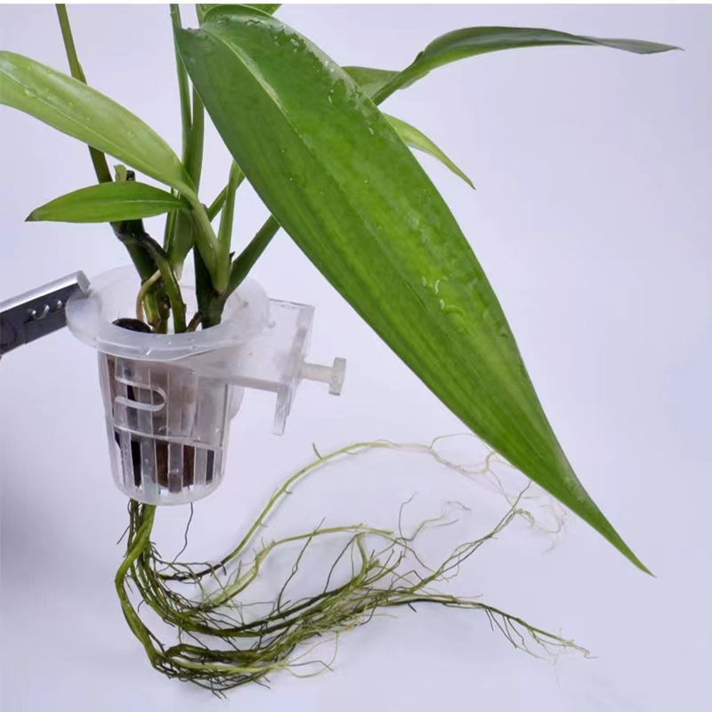 Keranjang penanaman akuarium h - Aquarium Planted Wall ulasan dan harga