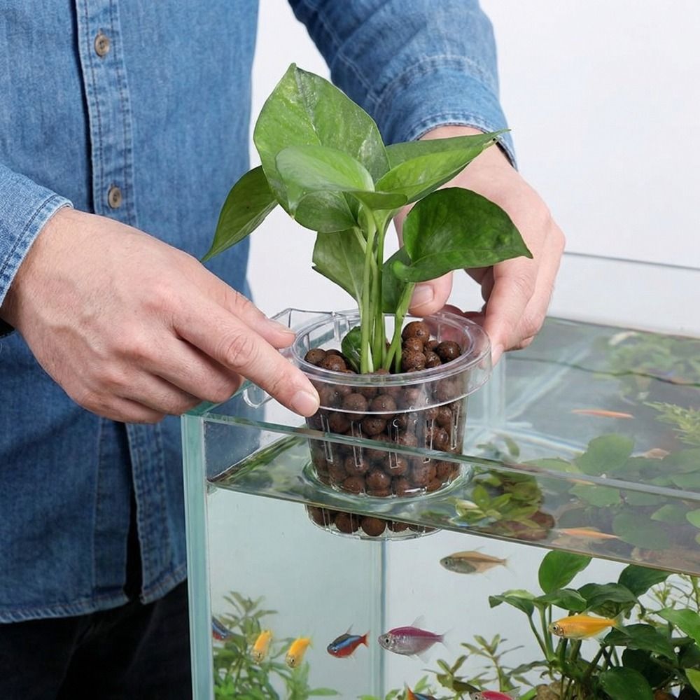 Keranjang Tanam Akuarium Gantu - Aquarium Planted Wall ulasan dan harga