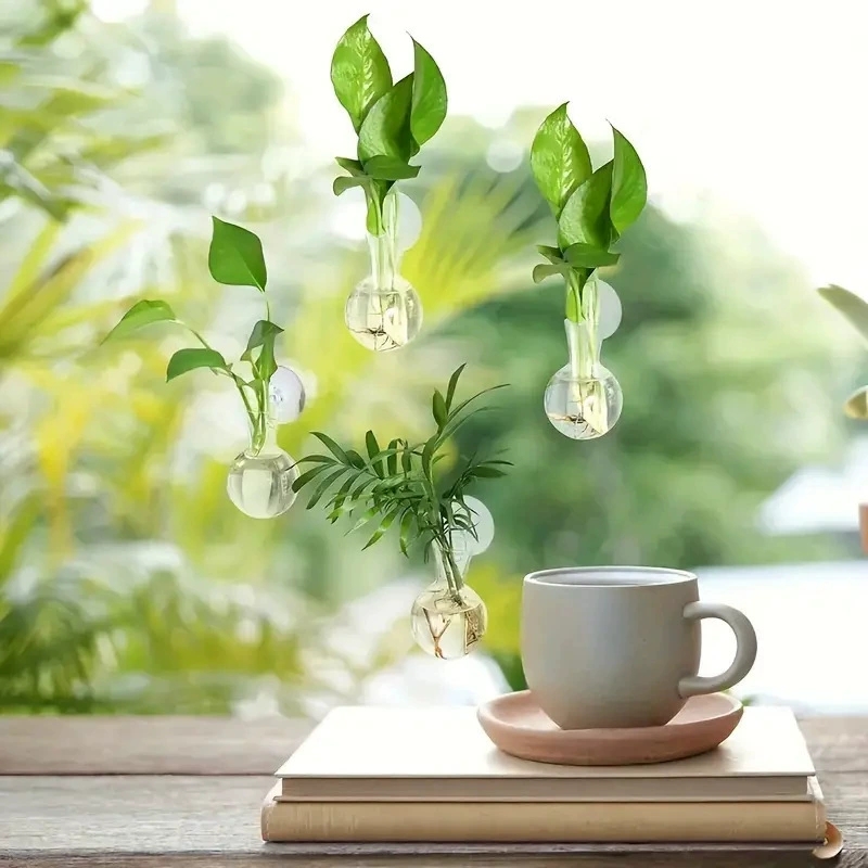Vas Bunga Dinding Semi Lingkar - Aquarium Planted Wall ulasan dan harga