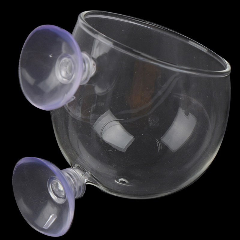 1 Buah Pot Kaca Kristal Mini T - Planted Aquarium Mini ulasan dan harga