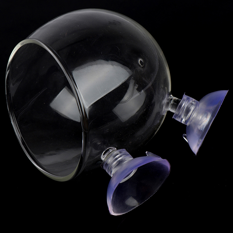 1 Buah Pot Kaca Kristal Mini T - Planted Aquarium Mini ulasan dan harga